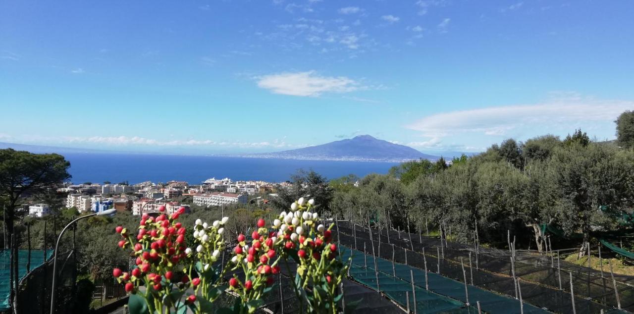 Sorrento Dolce Casaアパートメント エクステリア 写真