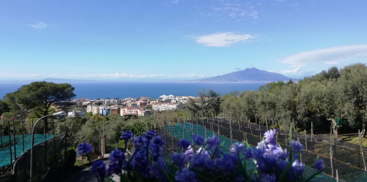Sorrento Dolce Casaアパートメント エクステリア 写真