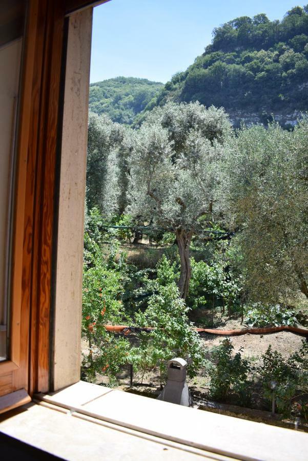Sorrento Dolce Casaアパートメント エクステリア 写真